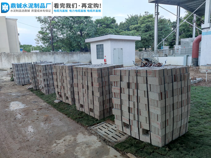 四会华南水务污水厂透水砖道路工程案例图片-1