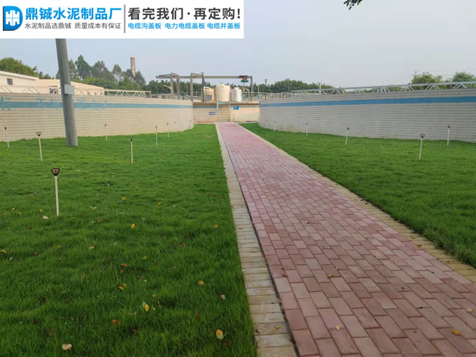 肇庆市四会污水处理厂透水砖道路工程案例图片-4
