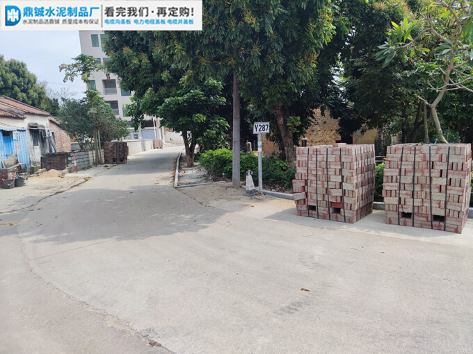 肇庆大旺美丽乡村透水砖道路工程项目案例图片-2