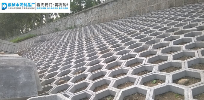 肇庆四会空心六角砖护坡工程项目案例图片-1